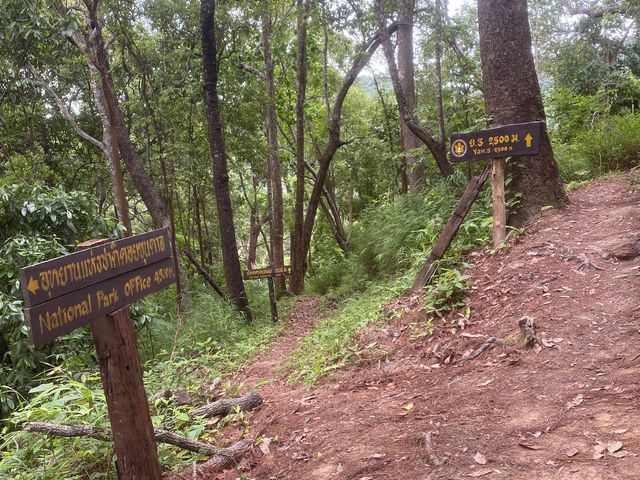 ชมธรรมชาติกับอุทยานแห่งชาติดอยขุนตาล⛰️🪵