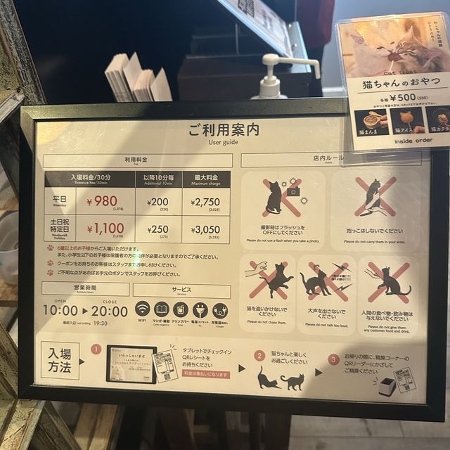 📍猫カフェMOCHA原宿店/東京