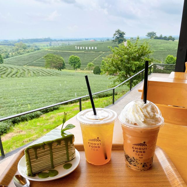 ไร่ชาฉุยฟง🍵