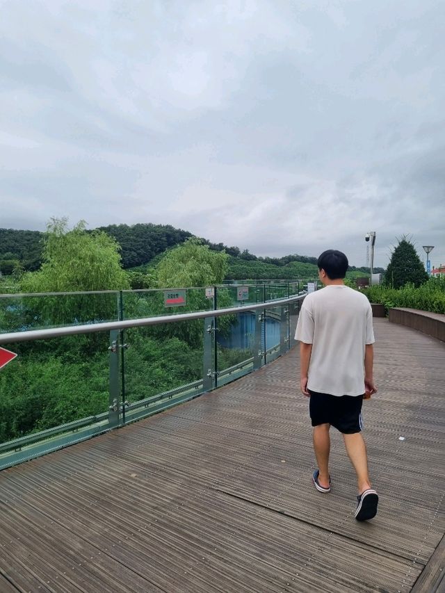 공중에 떠있는 아라전망대