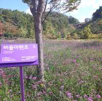 다양한 야생화와 핑크뮬리를 볼 수 있는, 함안 악양생태공원