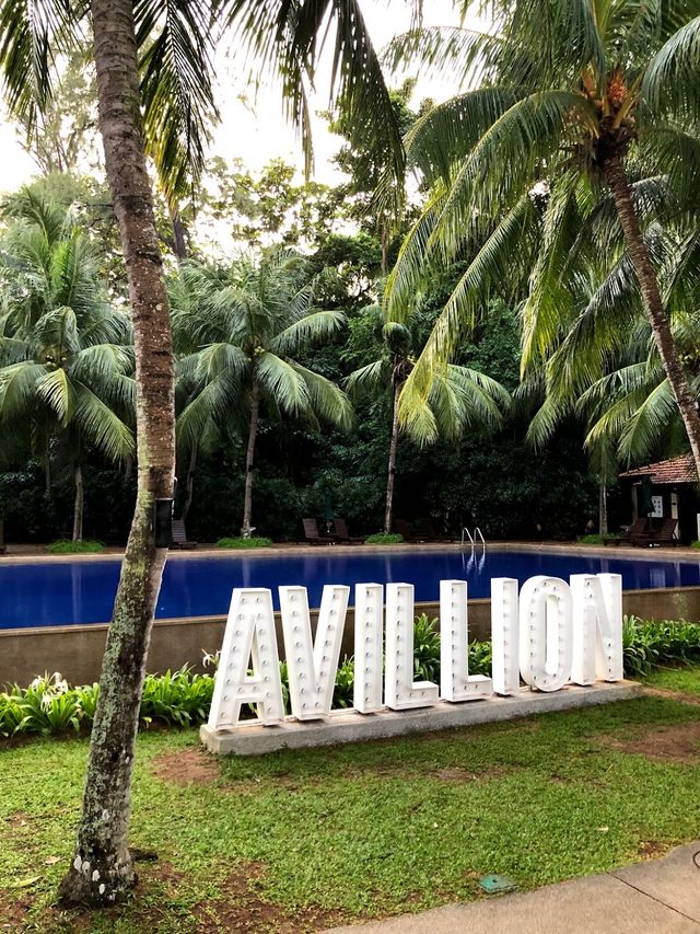 Avillion Port Dickson ✨