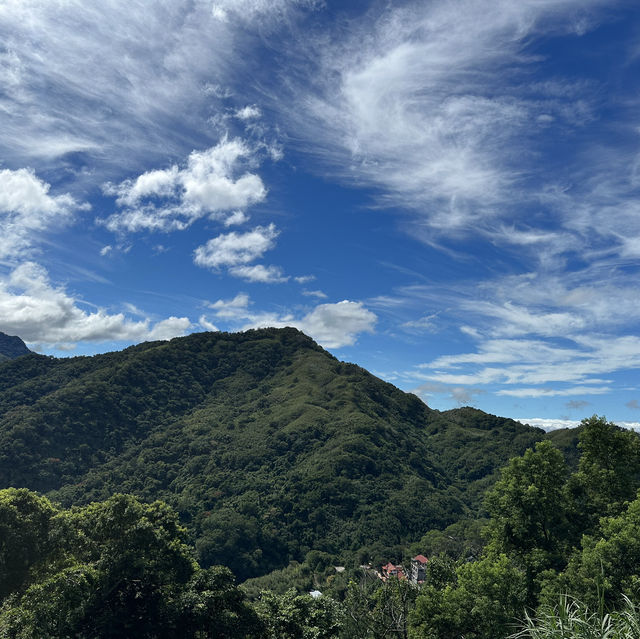 桃園復興鄉⛰️角板山公園！親近大自然，走吊橋，吸收芬多精！