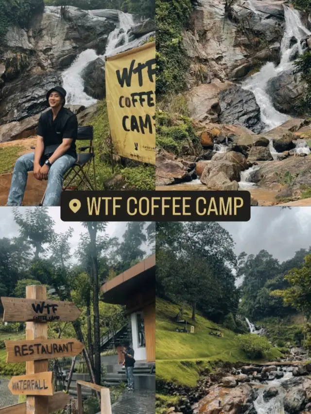 wtf cafe’ camp 🏕️🌳
