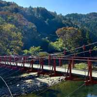 🌳 도심에서 벗어나 자연과 일체되어 산림욕을 즐길 수 있는 고란계곡을 방문해보세요! 💚