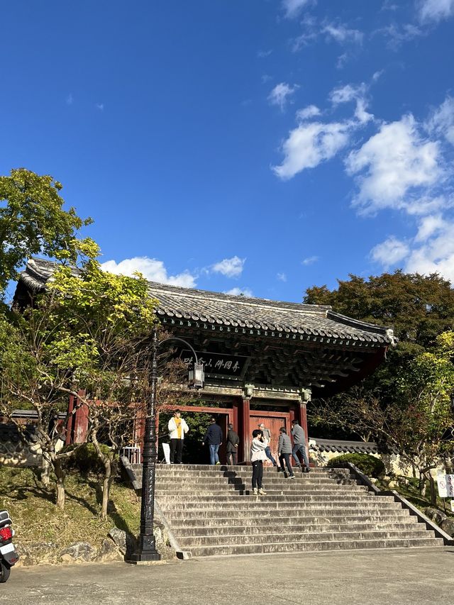 경주 불국사 산책하기 좋아요🌳