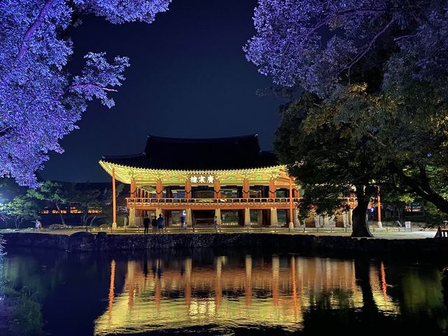 남원여행 갔다면 꼭‼️봐야하는 광한루 야간개장💫