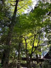 【小田原パワースポット】陽の光が心地良い報徳二宮神社