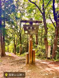 【長瀞絶景スポット】ロープウェイで行ける宝登山