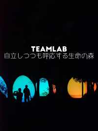 大阪Teamlab-在雞蛋森林中感受顏色和音色的空間感