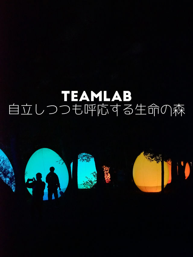 大阪Teamlab-在雞蛋森林中感受顏色和音色的空間感