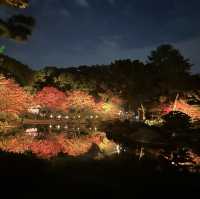 広島市　縮景園　紅葉