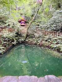 【島根県/八重垣神社】2023年行ってよかった！島根県の神社③