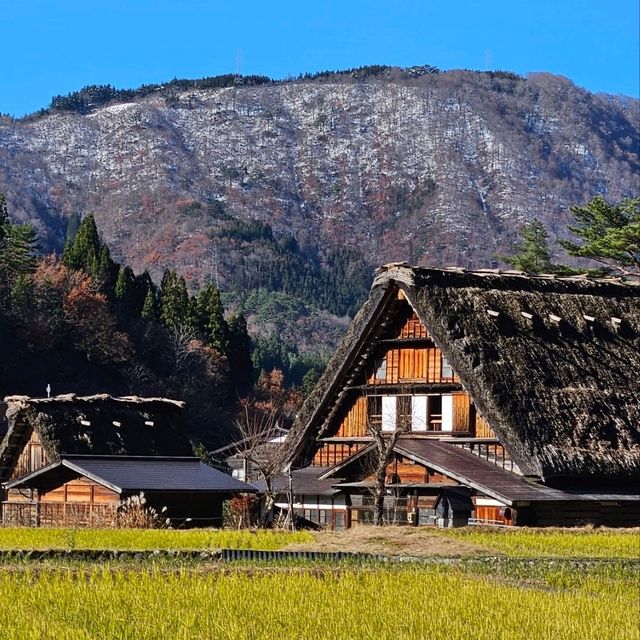 世界文化遺產👍令人流連忘返嘅白川鄉😍