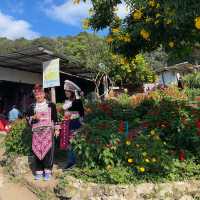 Must visit That Doi Pui & Hmong Doi Pui Villa