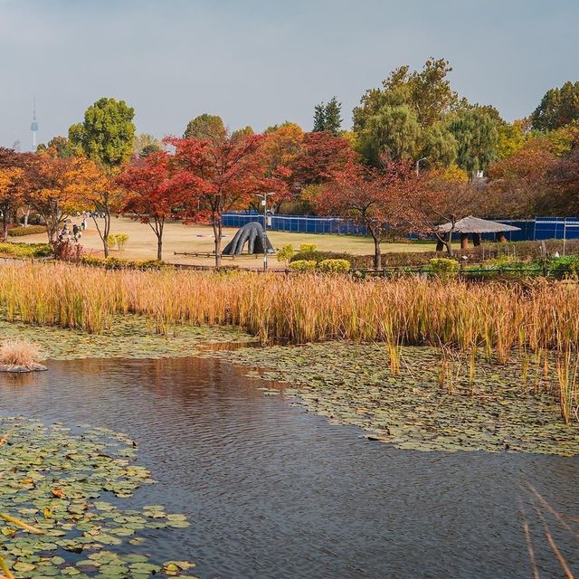 A stroll through Yongsan Family Park