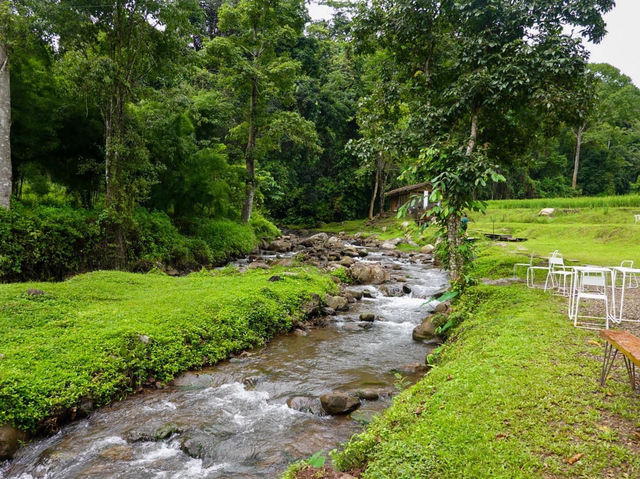 หลงเขา บ่อเกลือ น่าน-Lhong Khao 🍵☕️
