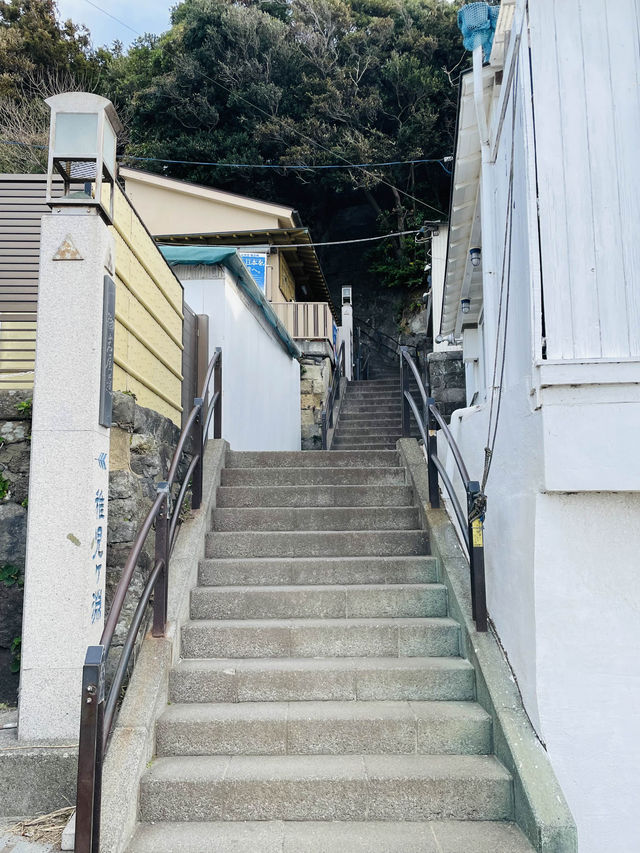 【神奈川県/稚児ケ淵】神奈川の絶景スポット