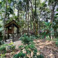 เชสท์นัท ฮิลล์ อีโค่ รีสอร์ท & คาเฟ่
