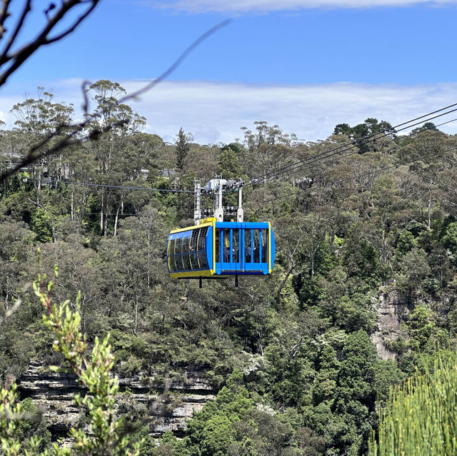 Blue Mountain National Park in Sydney