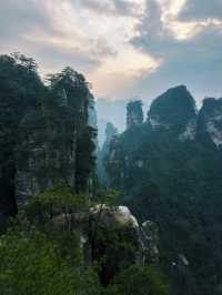 The Avatar Mountains - Zhangjiajie🌲🏔️