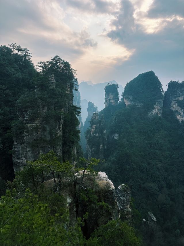 The Avatar Mountains - Zhangjiajie🌲🏔️