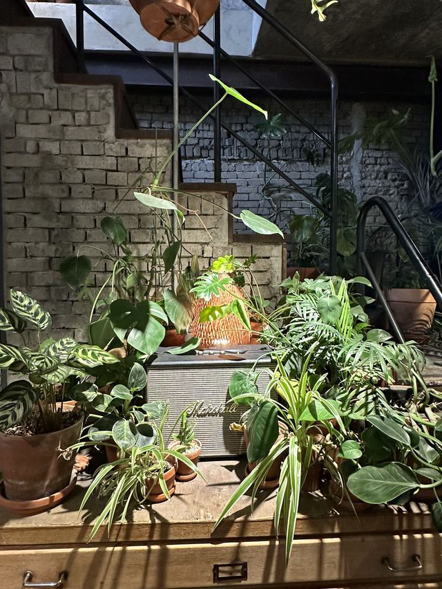 초록초록 식물 가득한 식물원 같은 카페🌿어반플랜트 합정점