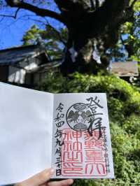 【長野】珍しい県境神社！ハートがたくさんなパワースポット🤍