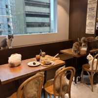 Urban cafe