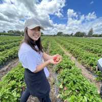 Ruakura Berry Exciting Day 