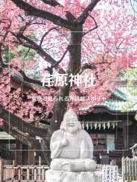 【東京】品川の龍神さま・寒緋桜がいま見頃の荏原神社
