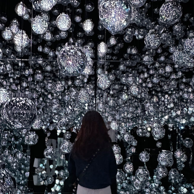 Immerse in teamLab Borderless, Tokyo