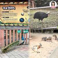 一個超多種課本才看到的動物天地