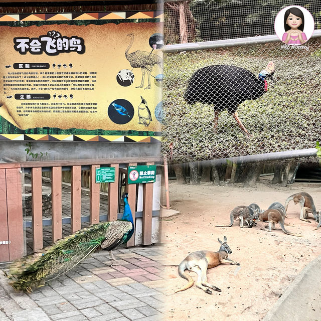 一個超多種課本才看到的動物天地