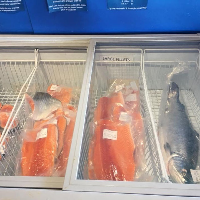 High country salmon 