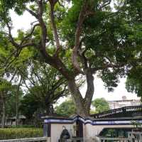 走入一秒穿越古今的錯覺~板橋林家花園