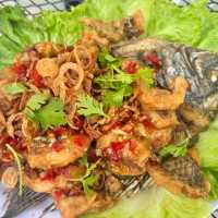 นานากลางทุ่ง @บ้านน้ำก่ำ