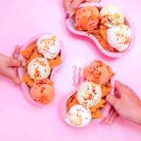 Museum of Ice Cream