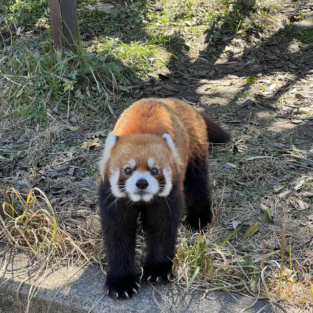 日本本土最西端ー九十九島