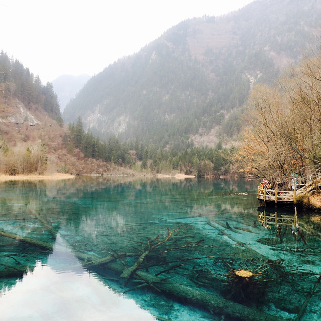 九寨沟 ，jiuzhaigou ❤️