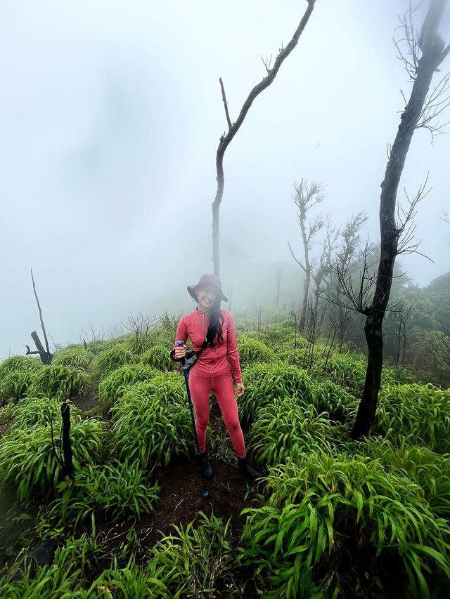 เปรโต้ะลอซู สายป่าลุยโคลนต้องมา!!⛰️🌳✨