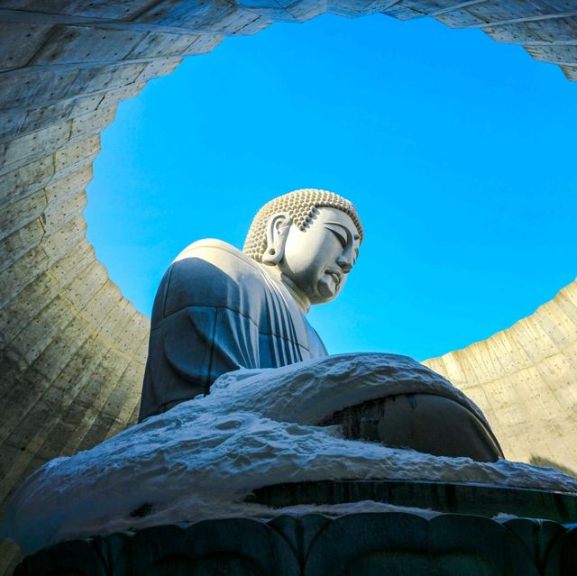 일본여행 안도다다오가 건축한 삿포로의 두대불전 頭大仏殿