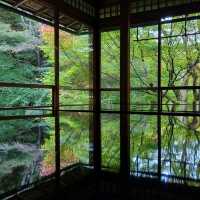 京都CMでも有名なスポット⭐瑠璃光院⭐