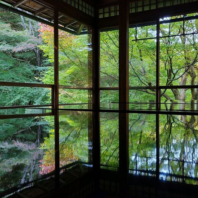 京都CMでも有名なスポット⭐瑠璃光院⭐