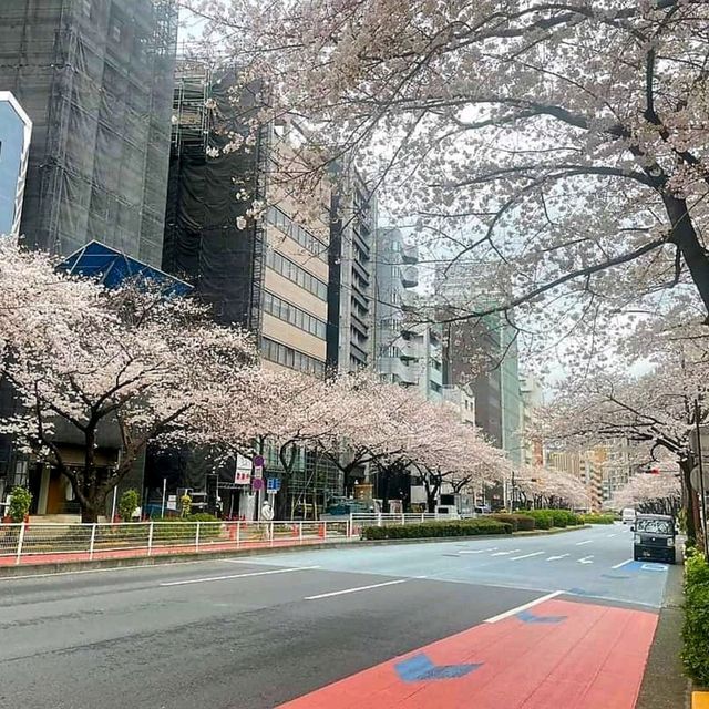 上野恩賜公園