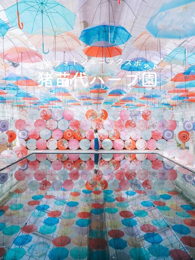 【福島】カラフル映えスポット「アンブレラスカイ」が今年もオープン🌷⛱️🌷⛱️