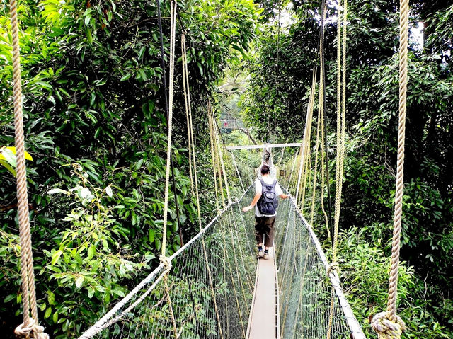 Taman Negara National Park