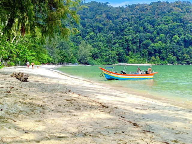 Penang National Park 