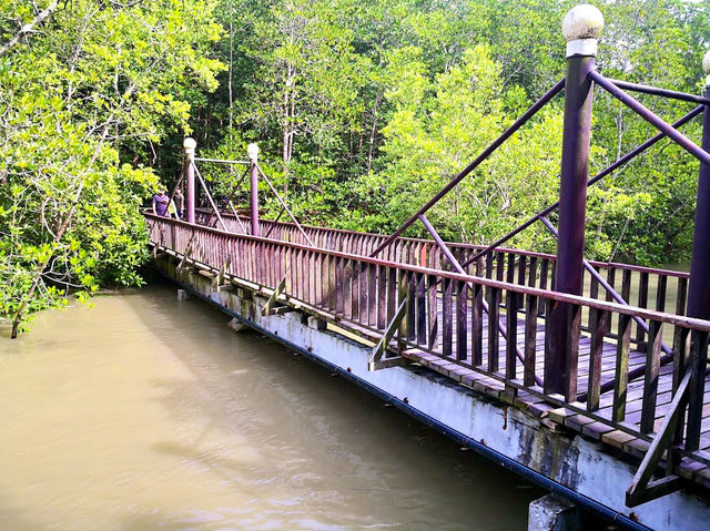 Kukup Island Johor National Park