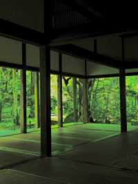 【京都】新緑の庭園が美しい✨ホントは教えたくない穴場の新緑スポットを紹介🔍